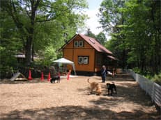 犬と泊まれる貸別荘　ミリーズラブ 2