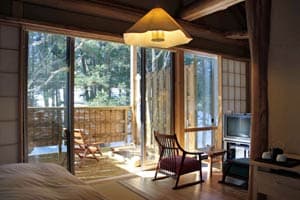 温泉山荘だいこんの花 2