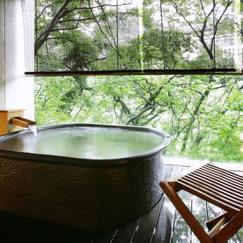 大江戸温泉物語Ｐｒｅｍｉｕｍ　鬼怒川観光ホテル 2