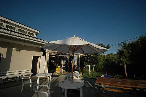 スナッパー　＜三宅島＞ 2