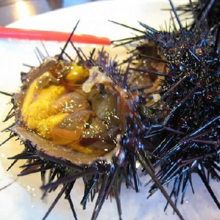 ホテル　雲丹御殿＜利尻島＞ 2