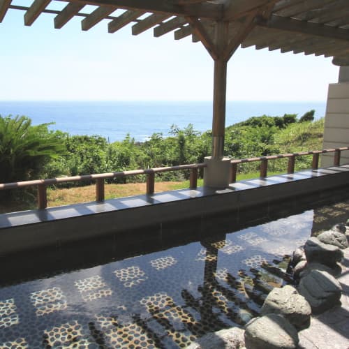 いそざき温泉　ホテルニュー白亜紀 2