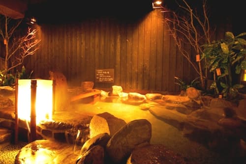 天然温泉　六花の湯　ドーミーイン熊本（ドーミーイン・御宿野乃　ホテルズグループ） 2