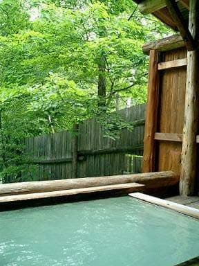 乗鞍高原温泉　ピーポロ乗鞍 2