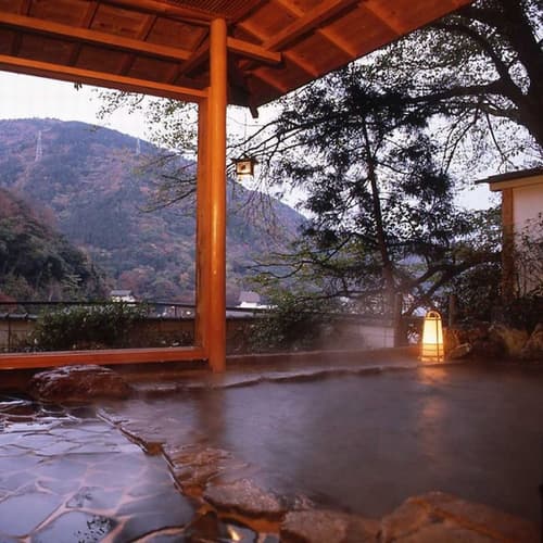 箱根湯本温泉　ホテル仙景 2