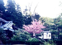 かにと日本海の幸 弓月