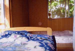 ＫＯＵＲＩＪＩＭＡ　ぶどうの樹＜古宇利島＞ 2