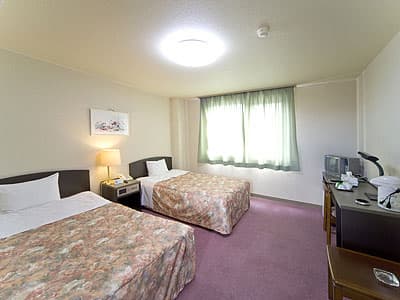 ホテルグリーン安田 2