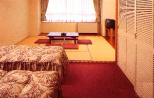 湯沢温泉（自家源泉）　ＨＯＴＥＬシャーレゆざわ銀水 2