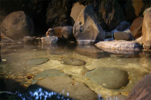 伊東温泉　翠方園 2