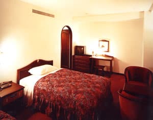 岡崎オーワホテル 2