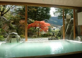 蔵王温泉　源泉湯宿　蔵王プラザホテル 2