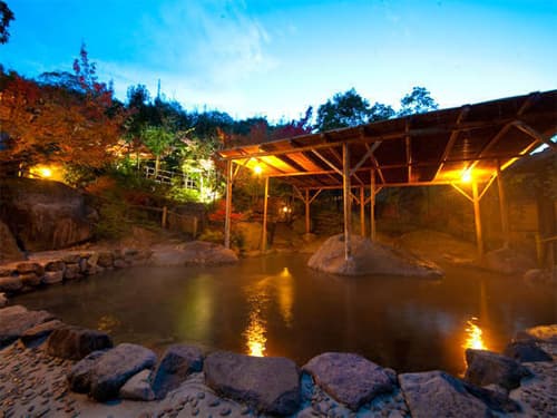 八面山金色温泉　こがね山荘 2