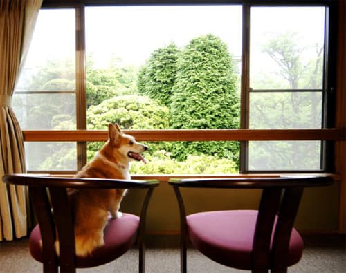 仙石高原大箱根一の湯 2