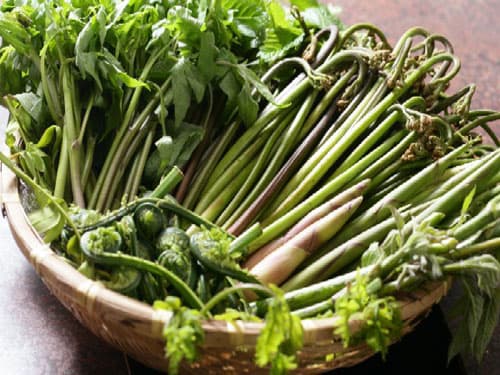 湯川温泉　春山荘　本館 2