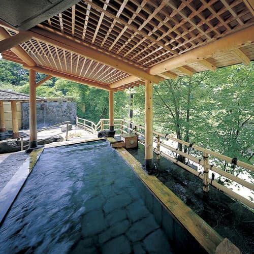 蓼科温泉　蓼科グランドホテル滝の湯 2