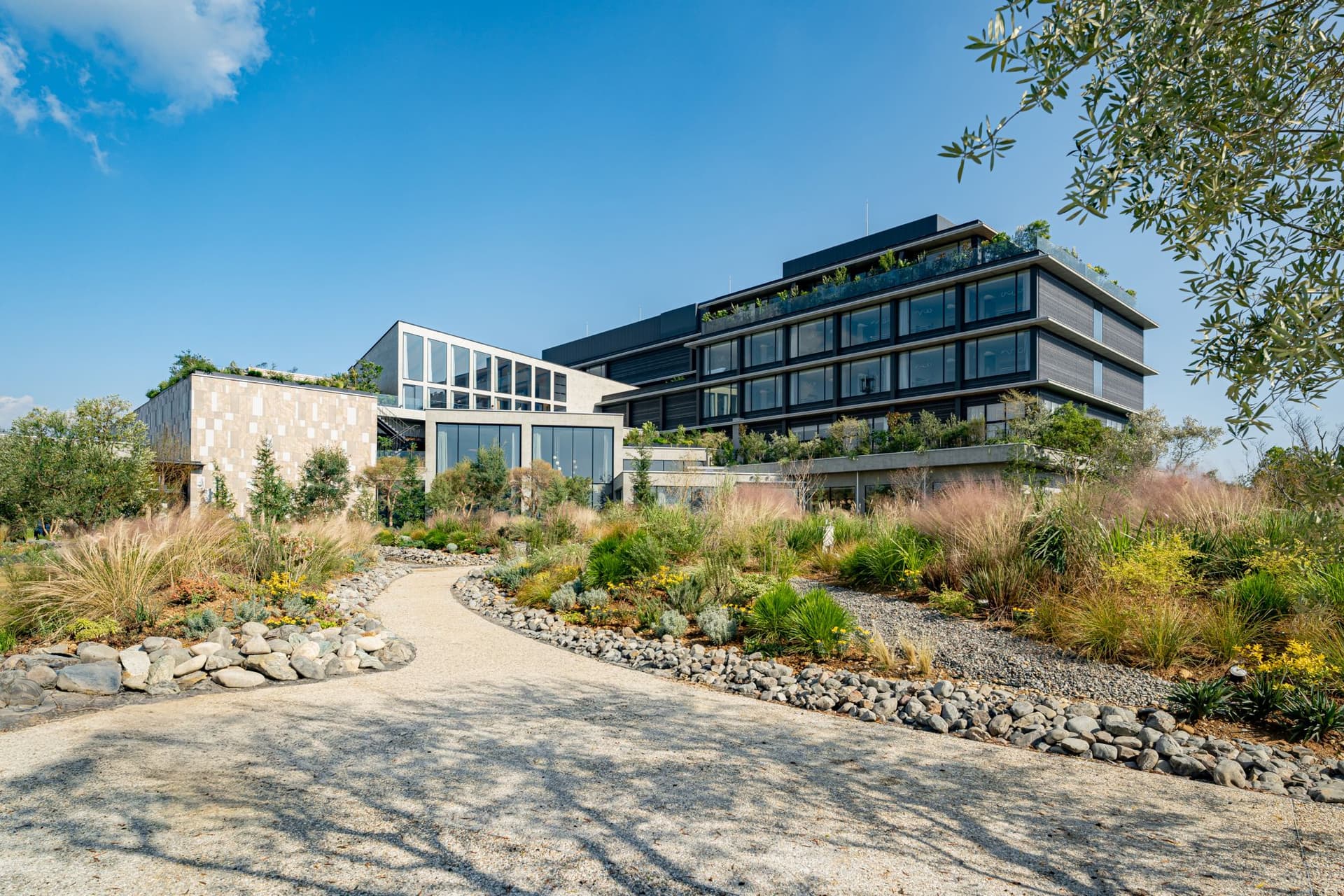 ＧＲＥＥＮＩＴＹ　ＩＷＡＴＡ