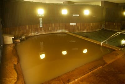 新安比温泉　静流閣 2