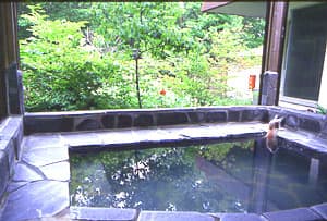 那須温泉　温泉ペンション　１ねん１くみ 2