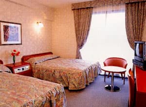 天然温泉付　ホテル　プラトン 2