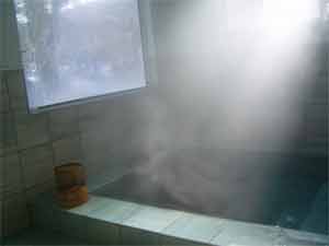 ペンション　コットンテール 2