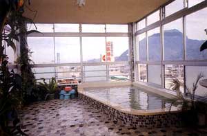 別府駅前　ホテルはやし 2