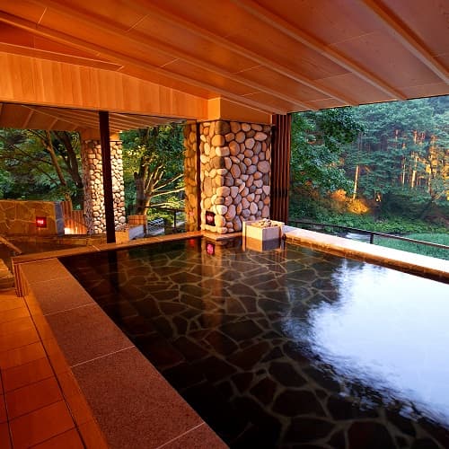 花巻温泉郷　新鉛温泉　結びの宿　愛隣館 2