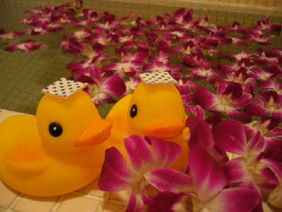 【桜並木から５００ｍ】　ファミリーペンション・ノーヴァ 2