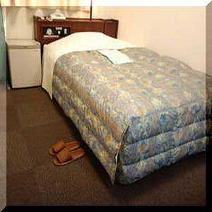 瑞穂イン石見益田（旧：マスダセントラルホテル） 2