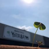 焼肉ホルモンYOTSUBA～四つ葉～ 3