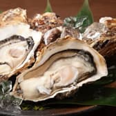 せとうち兵庫水産研究所牡蠣小屋「HOPLAND・姫路山陽百貨店」 3