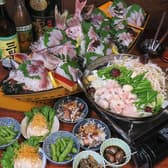 もつ鍋居酒屋　ちゃんぽん亭コシキ　天神今泉本店 3