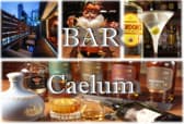 Bar Caelum バーカエルム 3