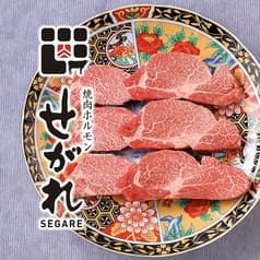 焼肉ホルモン せがれ 豊田市駅 2