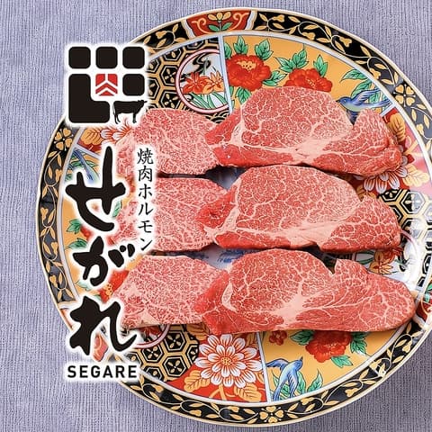焼肉ホルモン せがれ 豊田市駅