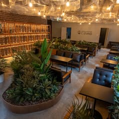 C STAND シースタンド 仙台国分町店 2