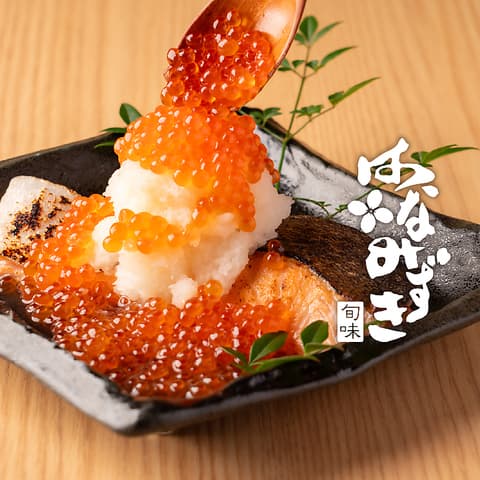 はなみずき 札幌駅前店