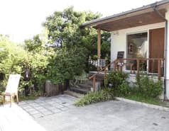 たんぽぽ 富田林 2