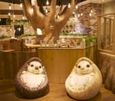 ハリネズミカフェ HARRY 横浜中華街店 3