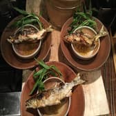 ほねラボラトリー 3