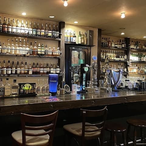 sheep s シープス