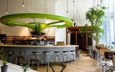 CHAYA Macrobi Shiodome チャヤ マクロビ シオドメ 2