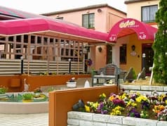 カンパーニュ 2