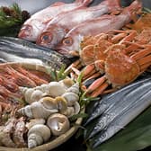 魚匠庵 ぎょしょうあん Produced by 金沢まいもん寿司 3