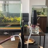 シーシャ Noel ノエル 3