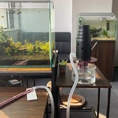 シーシャ Noel ノエル 2