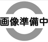 お好み鉄板 ホルモン しんさく 3