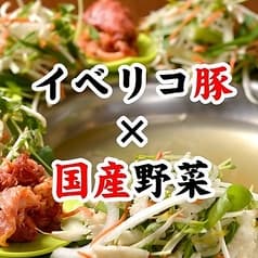 豚しゃぶ とんかつ 旨家どんぐり 2