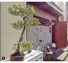 KOTOBUKI BAR コトブキバー 2