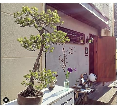 KOTOBUKI BAR コトブキバー